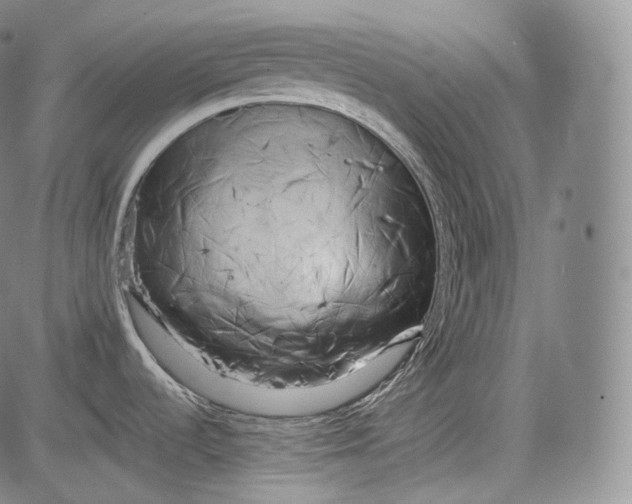 X0000084041536200703022136