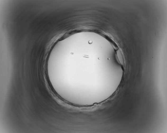 X0000084040001200703092041