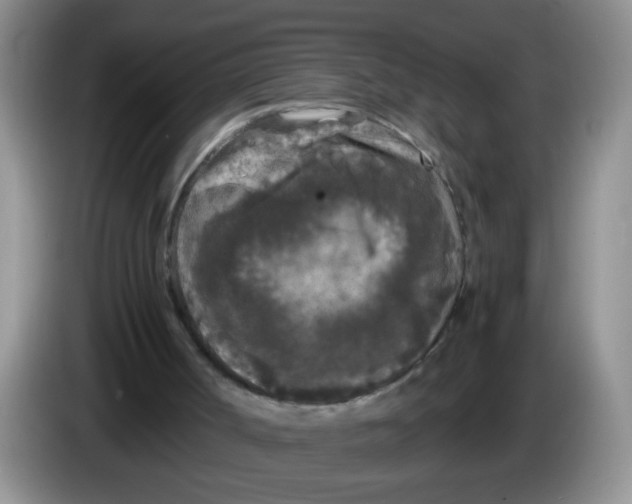 X0000084040002200703092041