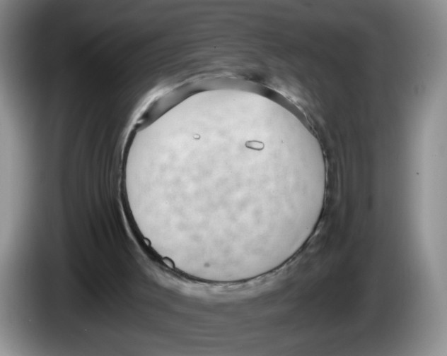 X0000084040003200703092041