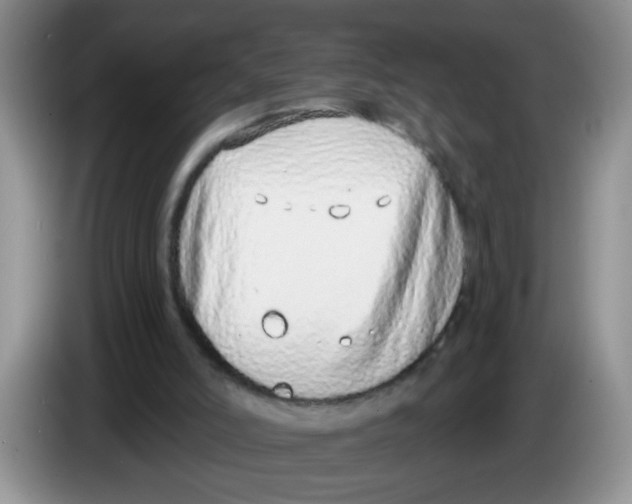 X0000084040006200703092041