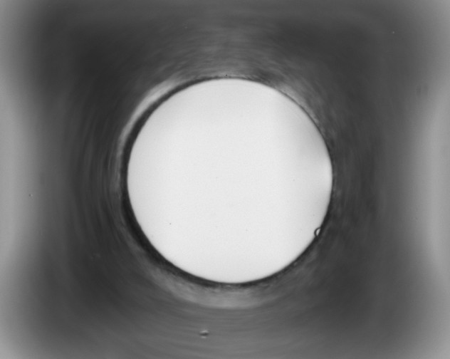 X0000084040008200703092041