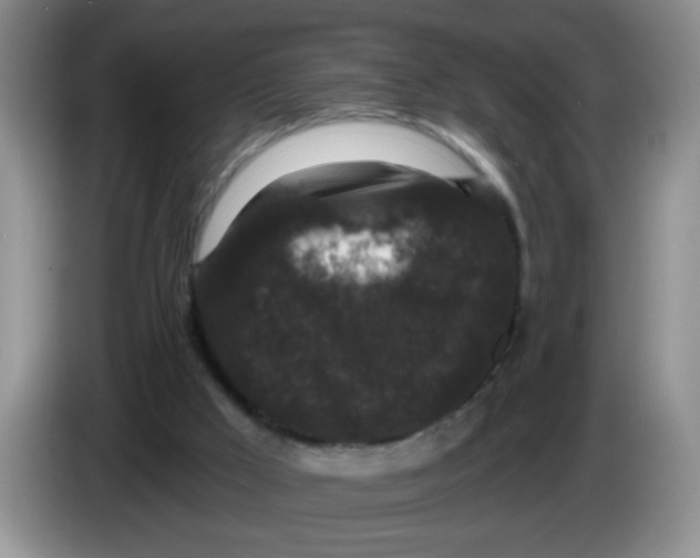 X0000084040009200703092041