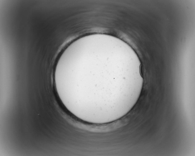 X0000084040011200703092041