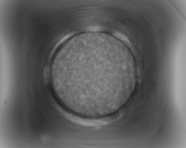 X0000084040012200703092041