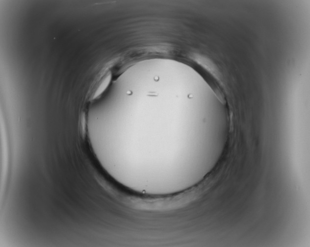 X0000084040013200703092041