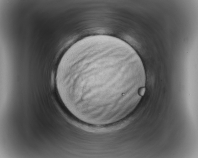 X0000084040014200703092041