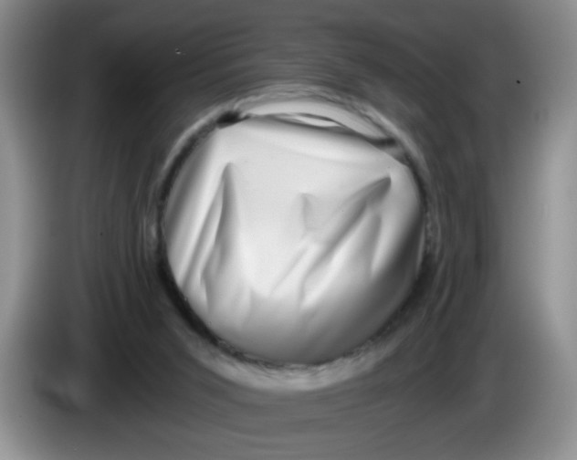 X0000084040015200703092041