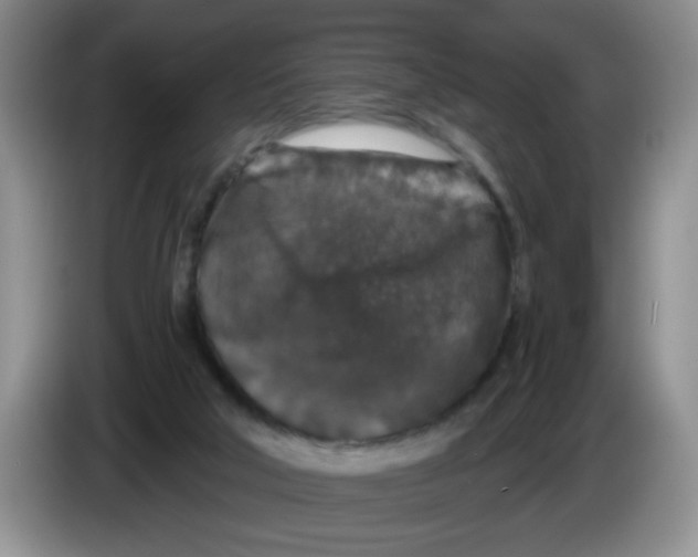 X0000084040018200703092041