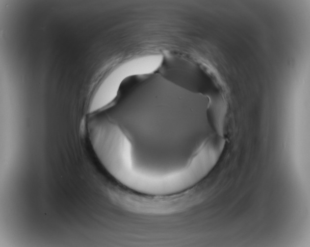 X0000084040019200703092041