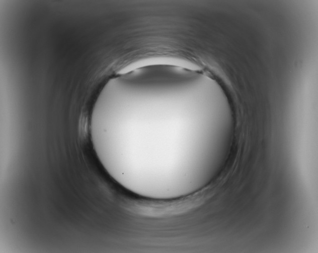 X0000084040021200703092041