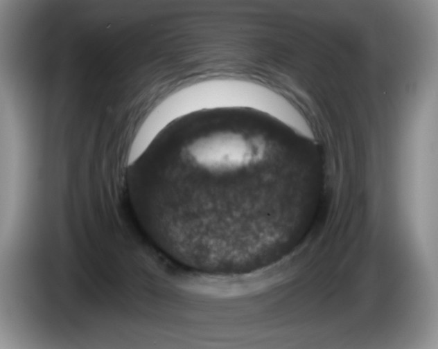 X0000084040029200703092041