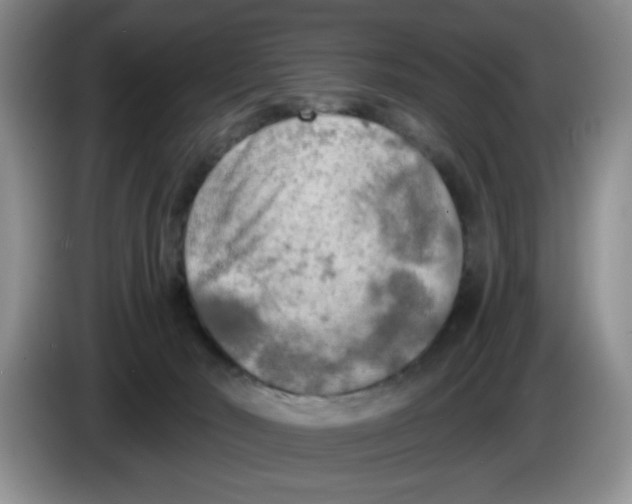 X0000084040030200703092041