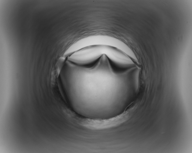 X0000084040037200703092041