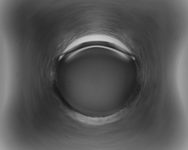 X0000084040039200703092041