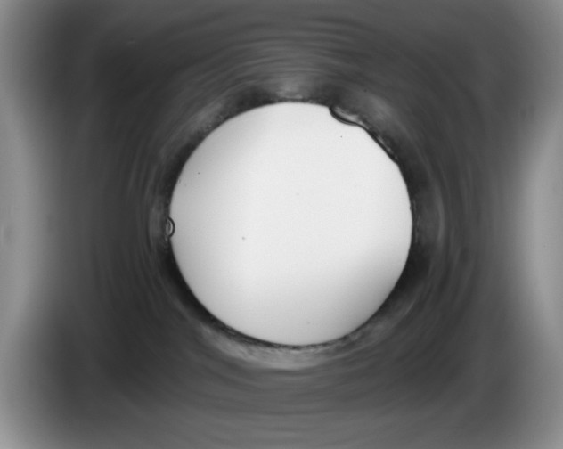 X0000084040044200703092041