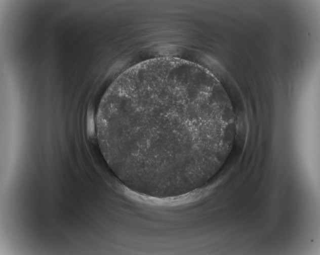 X0000084040046200703092041