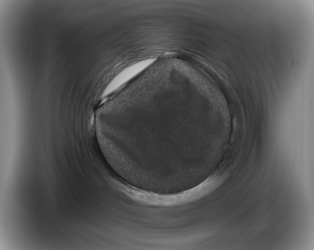 X0000084040048200703092040