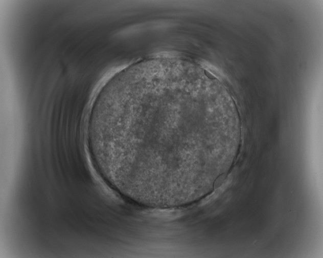 X0000084040049200703092040