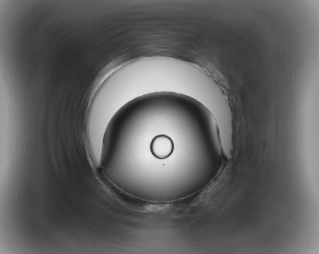 X0000084040051200703092040