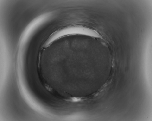 X0000084040052200703092040