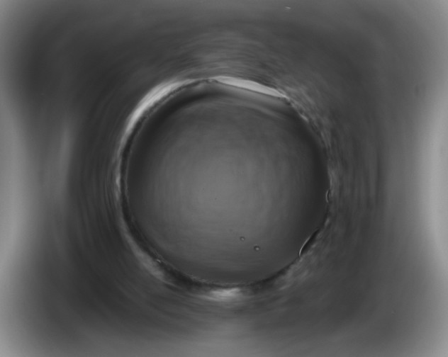 X0000084040054200703092040