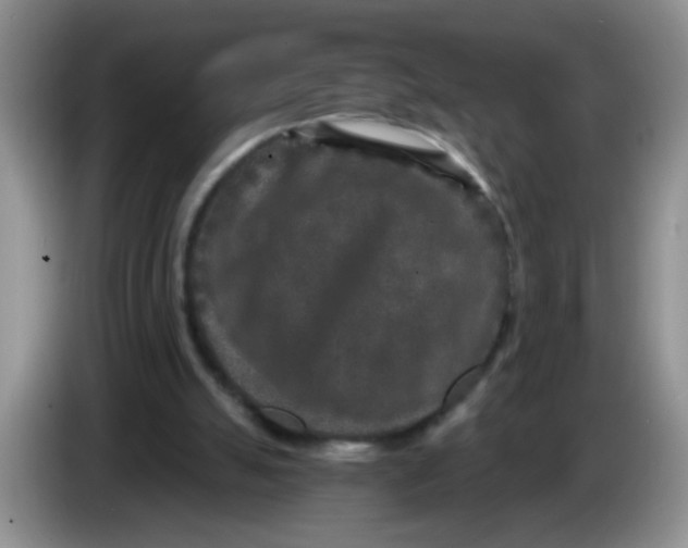 X0000084040055200703092040