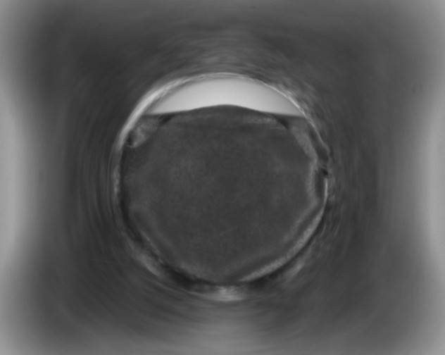 X0000084040056200703092040