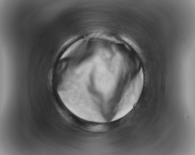 X0000084040058200703092040