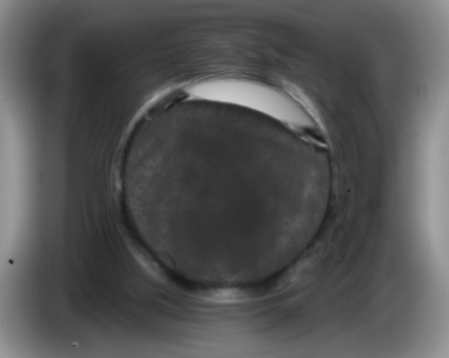 X0000084040059200703092040