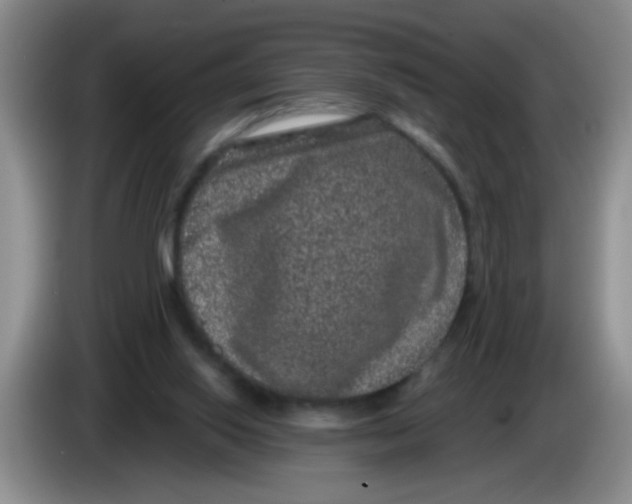 X0000084040062200703092040