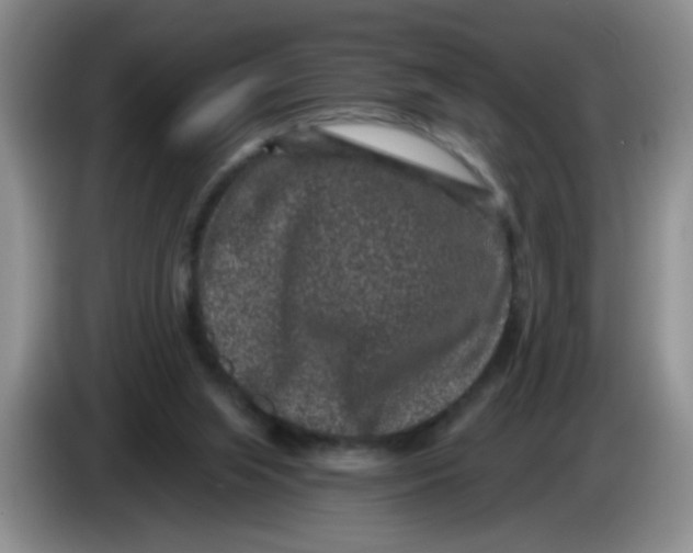 X0000084040063200703092040