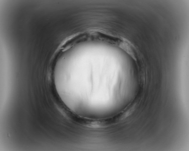 X0000084040064200703092040