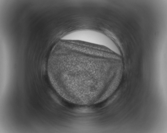 X0000084040065200703092040