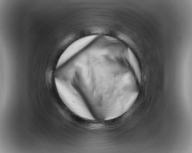 X0000084040066200703092040