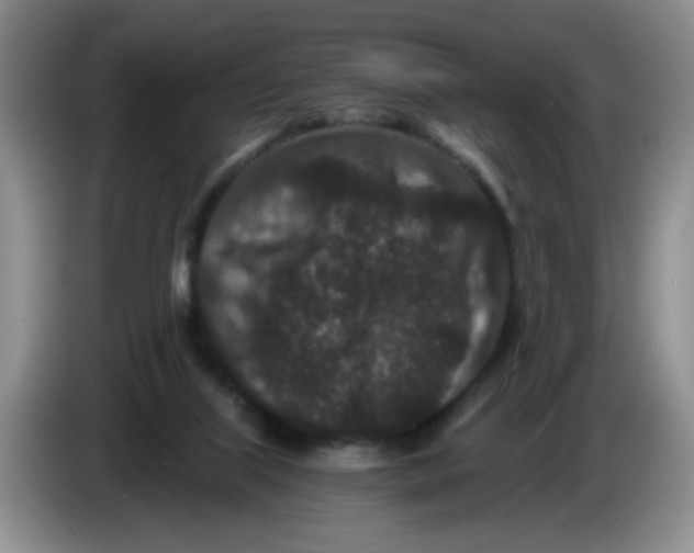 X0000084040067200703092040