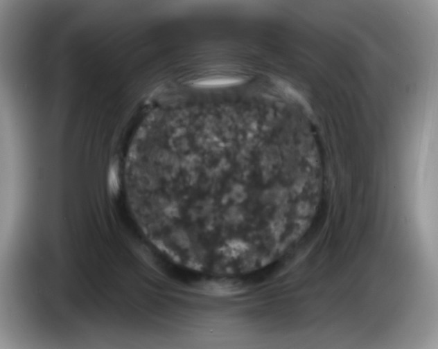 X0000084040069200703092040