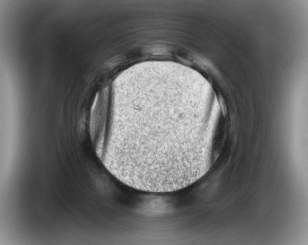 X0000084040073200703092040