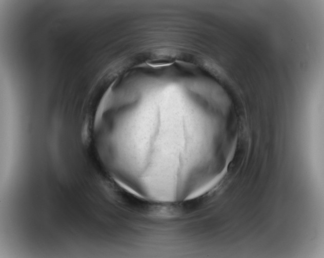 X0000084040074200703092040