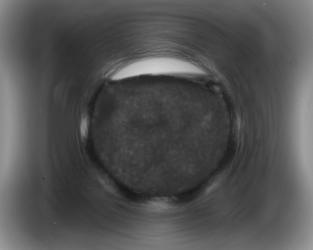 X0000084040076200703092040