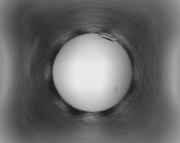 X0000084040077200703092040