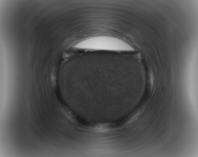 X0000084040080200703092040