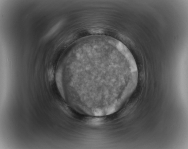 X0000084040081200703092040