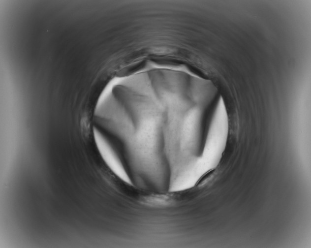 X0000084040086200703092040