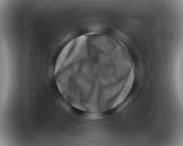 X0000084040093200703092040