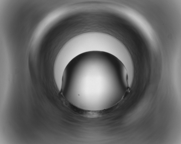 X0000084040095200703092040