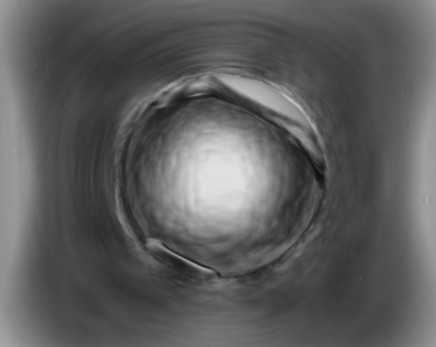 X0000084040097200703092040