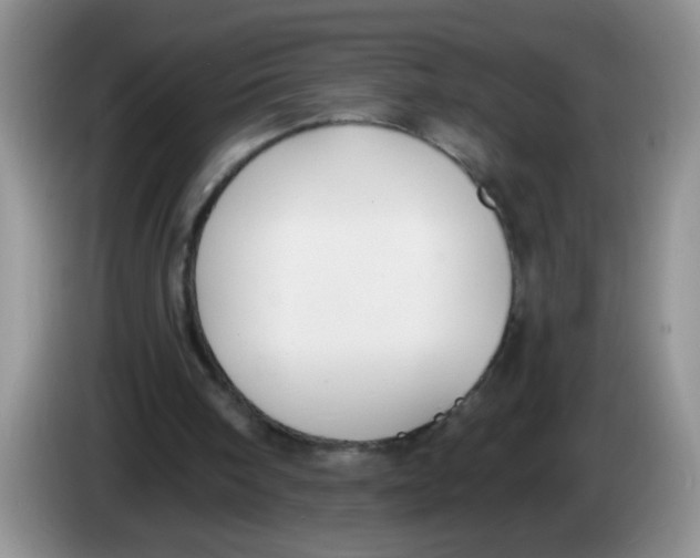 X0000084040098200703092040