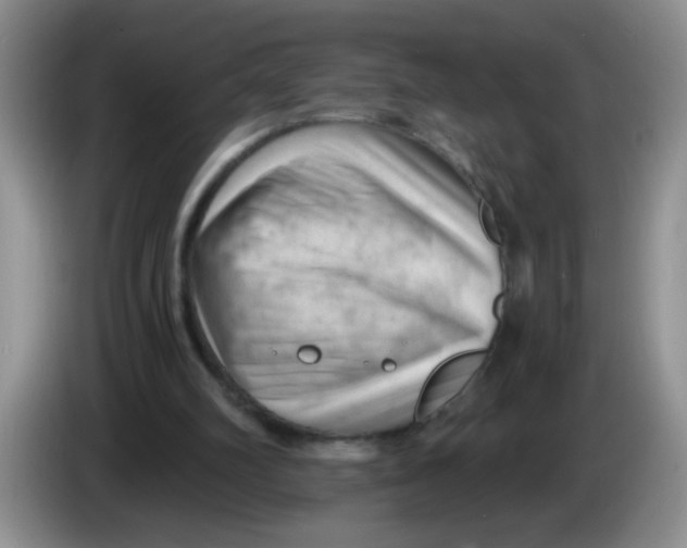 X0000084040102200703092040