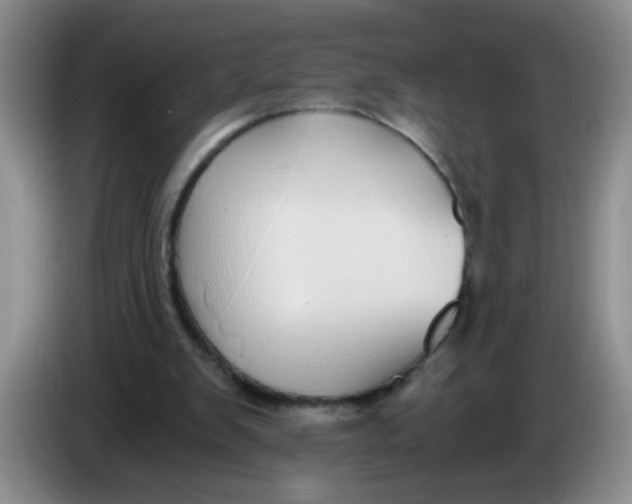 X0000084040103200703092040